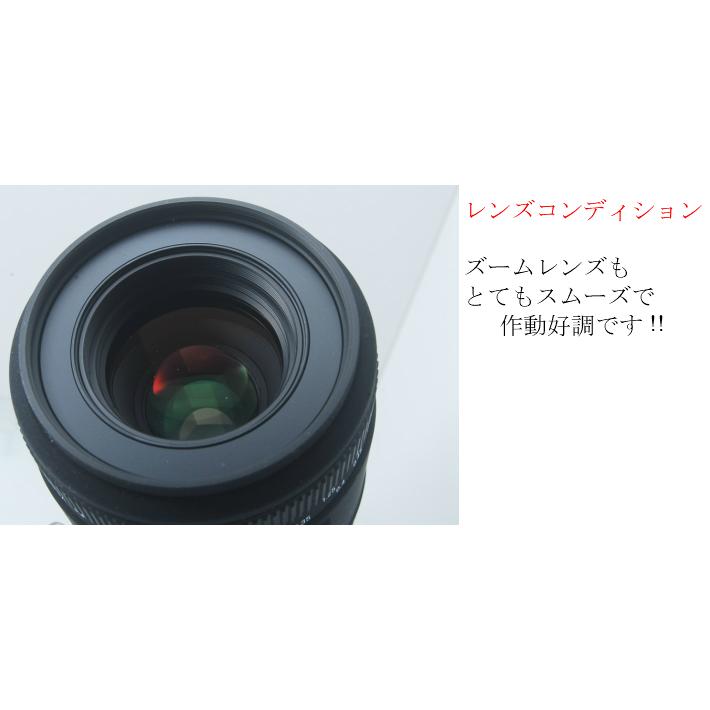 22新入荷 一眼レフカメラ 初心者 一眼レフカメラ 一眼レフカメラ 3泊4日 往復送料無料 レンタル フルサイズ対応 Dg Ex F2 8 70mm 単焦点マクロレンズ Sigma A58 ミラーレス一眼 Sony 一眼レフ 中古 初心者 家電 Pc Www Musonas Lt