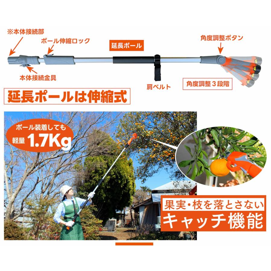 【工具収納バッグ・他付】 12Vコードレス 高枝切りバサミ 2WAY 電動バサミ 電動高枝切りばさみ 果実 小枝キャッチ機能付 LXAFP1-JP ヤードフォース YARDFORCE_3