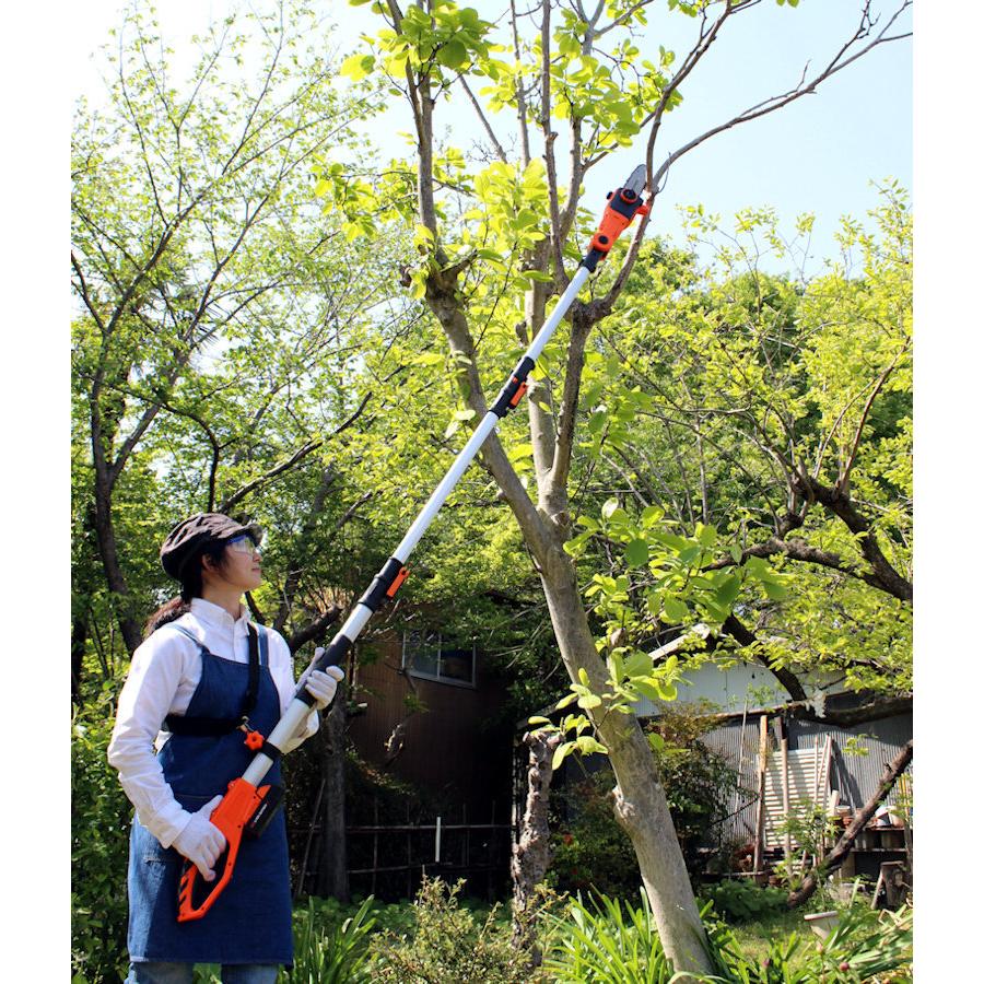 YARD FORCE チェーンソー 24V予備バッテリー付 YARD 24V YARD FORCE チェーンソー 24V予備バッテリー付 YARD 24V