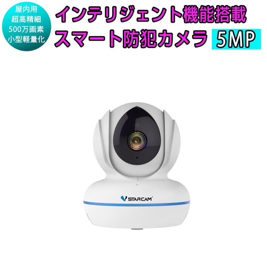 小型 防犯カメラ ワイヤレス C22Q VStarcam WQHD 2K 1440p 400万画素 無線 MicroSDカード録画 録音 6ヶ月保証 【希少!!】 小型 防犯カメラ ワイヤレス C22Q VStarcam WQHD 2K 1440p 400万画素 無線 MicroSDカード録画 録音 6ヶ月保証 【希少!!】