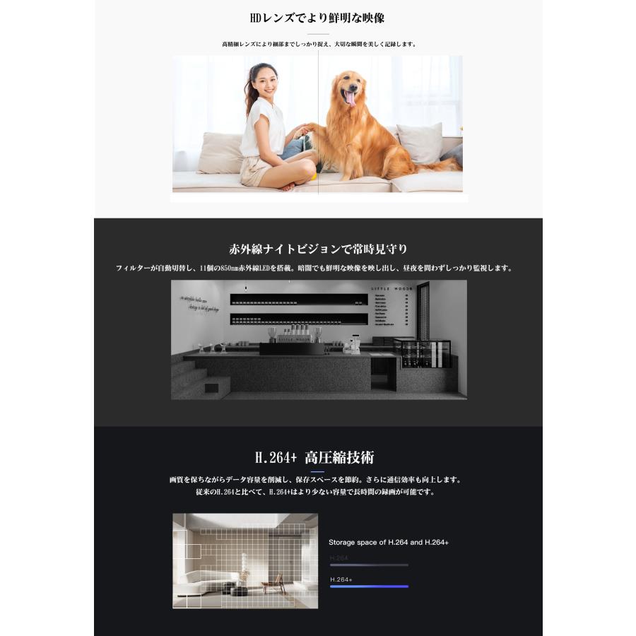 見守りカメラ C38S-P パンチルト対応 WiFi 人物検知 動体検知 ナイトビジョン 双方向音声 ペットカメラ 防犯カメラ PSE 技適 6ヶ月保証 | VSTARCAM | 04