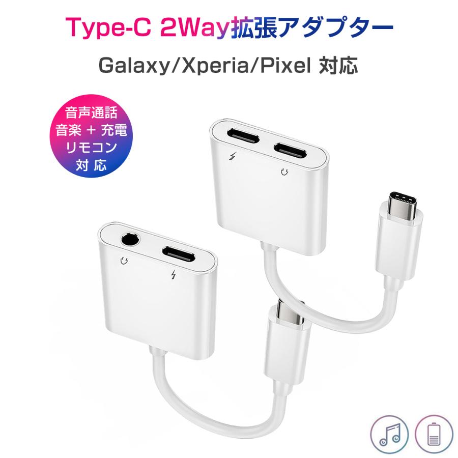 ipad proイヤホン変換アダプター 2in1 ケーブル Type C イヤホン