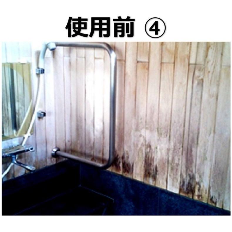 業務用 木材用カビ取り剤 カビクリーン 4ｌ 送料無料 木材カビ ヒノキ 塩素系 檜風呂 浴室 Kabimoku01 業務用洗剤 カミユテック 通販 Yahoo ショッピング