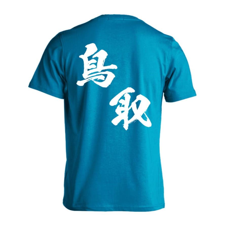 ハンドボール Tシャツ 都道府県デザイン 鳥取 闘龍書体 斜め書き 大きいサイズ Xxl以上 全16色 ドライ プロテッジ Proteggi Ptg0242 Ts Dry Lrg ハンドボールウェア プロテッジ 通販 Yahoo ショッピング