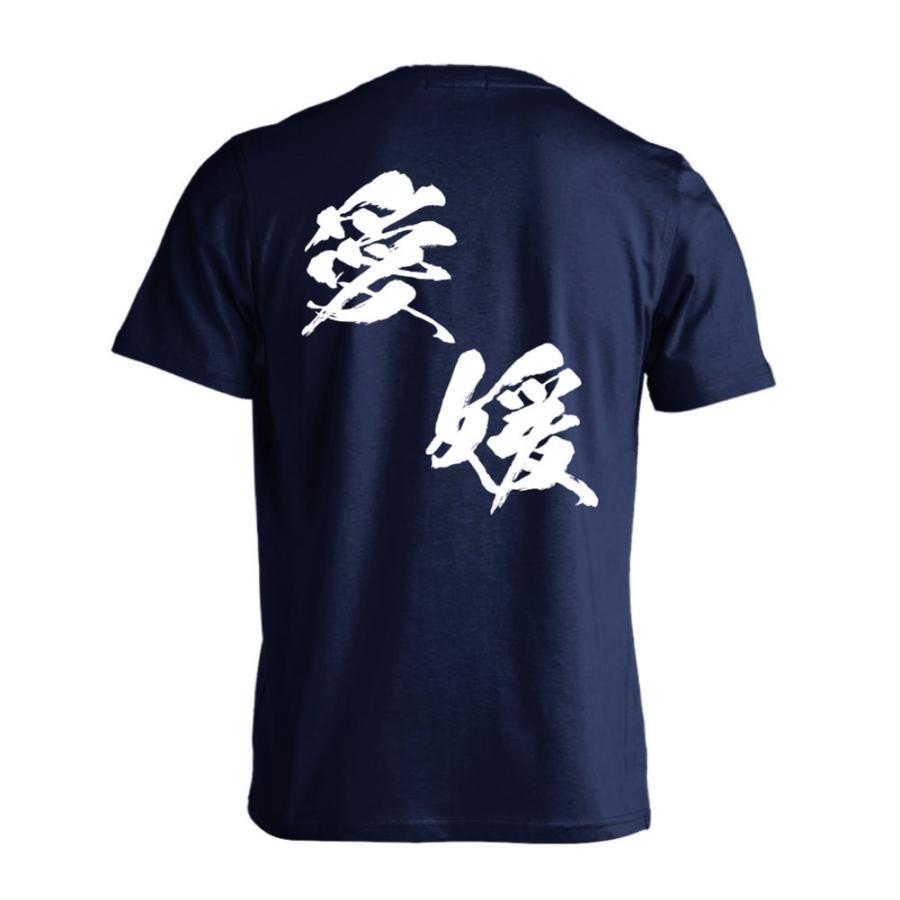 ハンドボール Tシャツ ウェア 半袖 都道府県デザイン 愛媛 闘龍書体