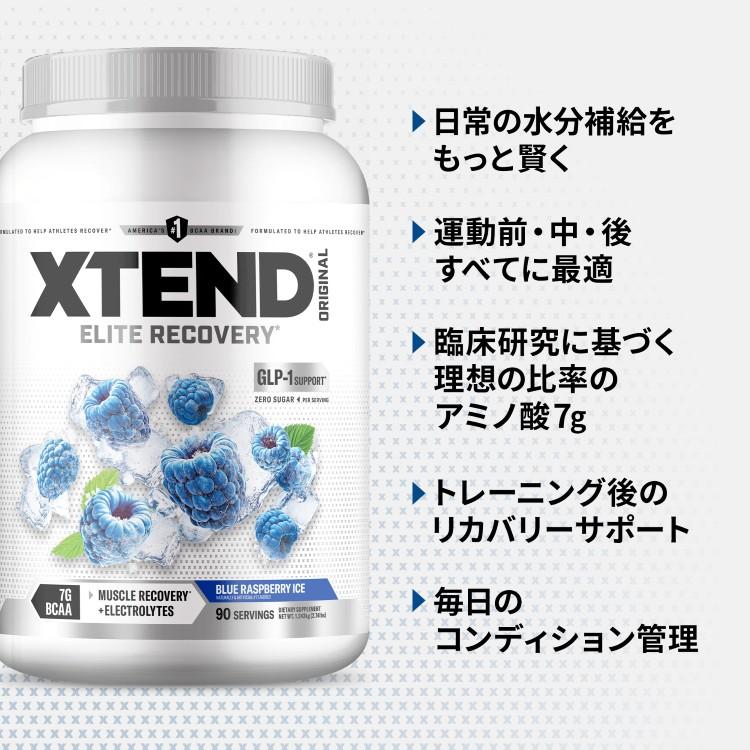 エクステンド BCAA ブルーラズベリーアイス 約90回分 Xtend Original
