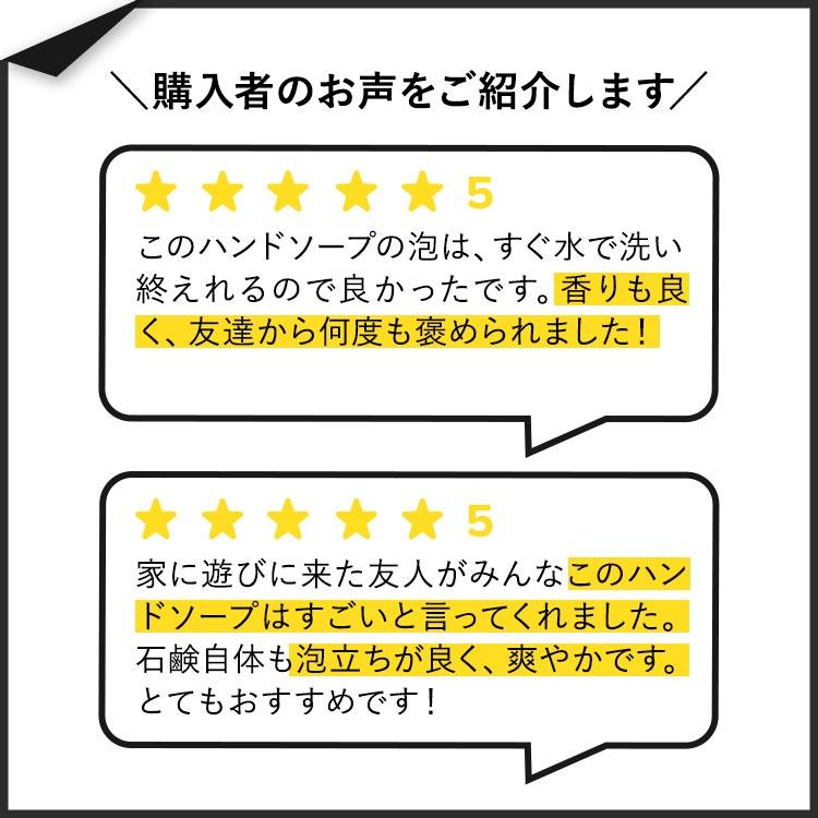 バス&ボディワークス クリスプモーニングエア ハンドソープ 259ml