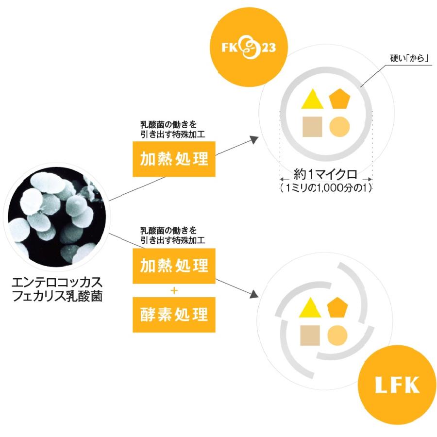 ツヤット 30包 Tsuyatto ペット用乳酸菌 ニチニチ製薬 乳酸菌