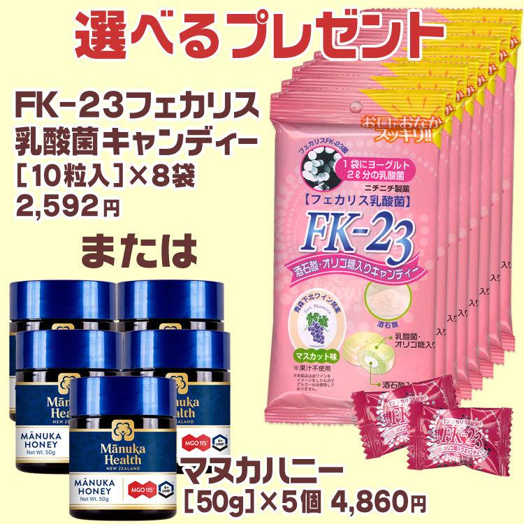 選べる付き FK-23乳酸菌サプリメント