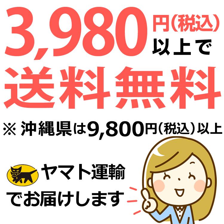 チサフェルナ 30包 +3包増量(計33包) ニチニチ製薬 乳酸菌 2兆2000億個