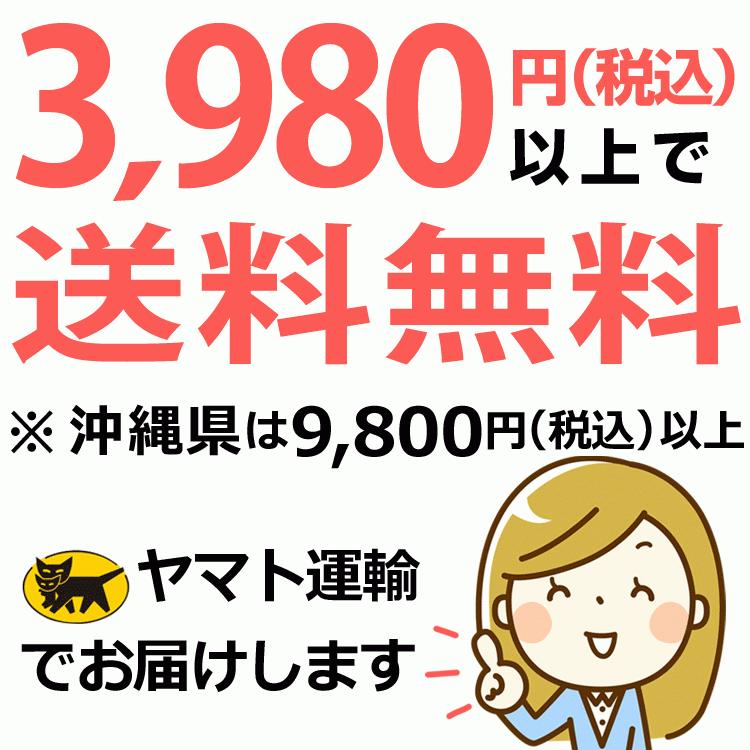 チサフェルナ 30包◆2箱セット ＋6包増量(計66包) CHISA FERNA ニチニチ製薬 LFK乳酸菌 2兆2000億個 FK-23菌 フェカリス菌 乳酸菌 プロテサン専門店_7