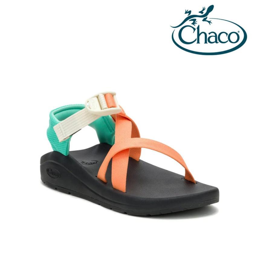チャコ CHACO クッシュZ レディース サンダル 超軽量 快適 Zクラシック比約半分の軽さ スポーツサンダル ビーチ 旅行 JCH00001091 マンゴータンゴ | CHACO