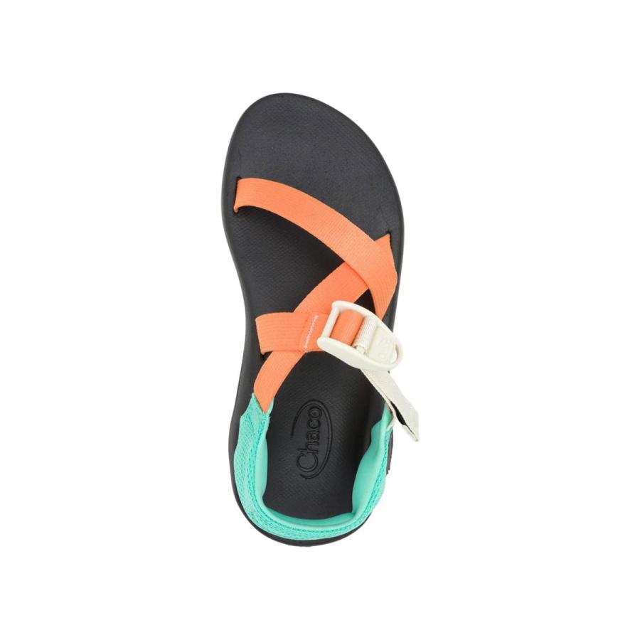 チャコ CHACO クッシュZ レディース サンダル 超軽量 快適 Zクラシック比約半分の軽さ スポーツサンダル ビーチ 旅行 JCH00001091 マンゴータンゴ | CHACO | 04