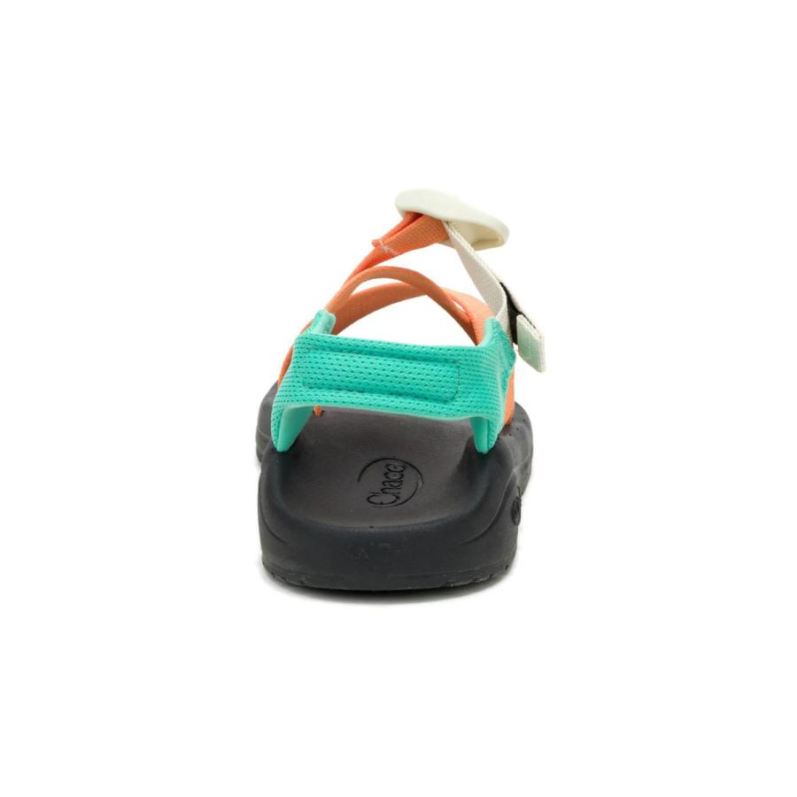 チャコ CHACO クッシュZ レディース サンダル 超軽量 快適 Zクラシック比約半分の軽さ スポーツサンダル ビーチ 旅行 JCH00001091 マンゴータンゴ | CHACO | 06