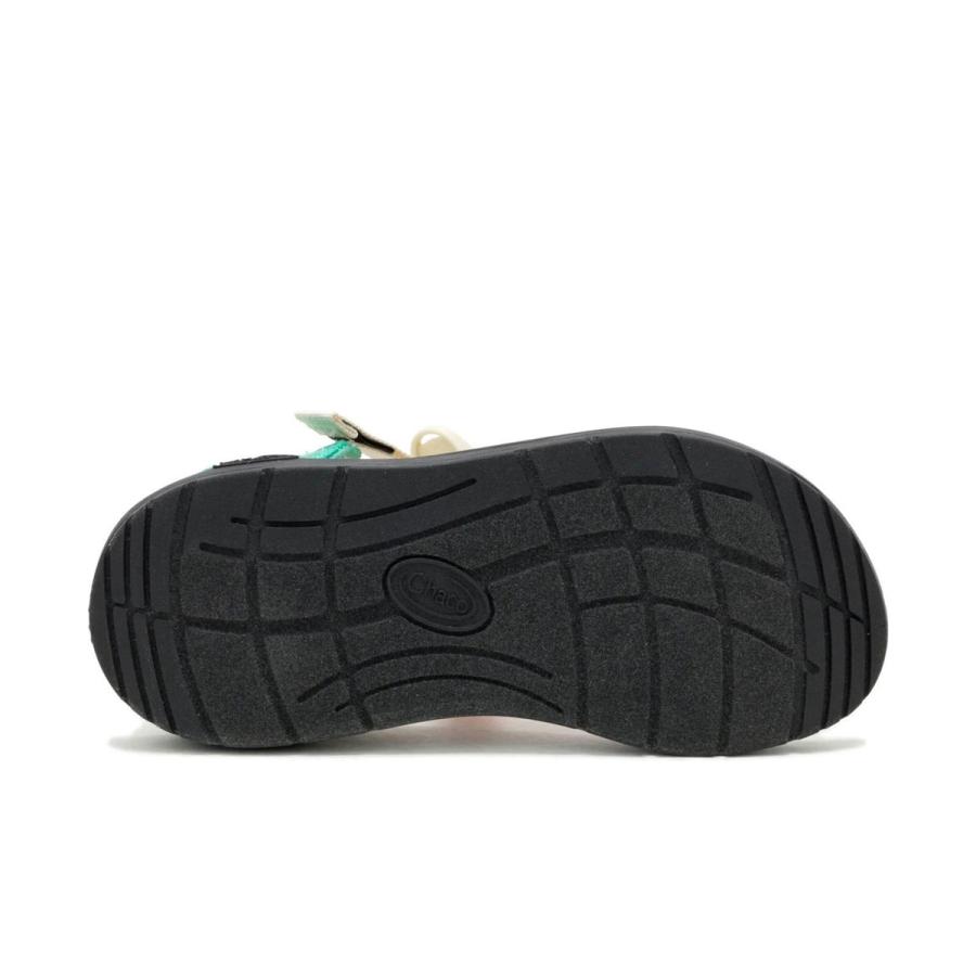 チャコ CHACO クッシュZ レディース サンダル 超軽量 快適 Zクラシック比約半分の軽さ スポーツサンダル ビーチ 旅行 JCH00001091 マンゴータンゴ | CHACO | 08