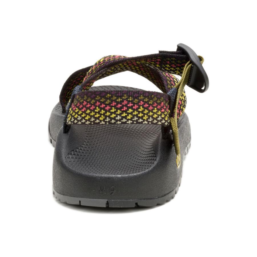 Chaco サンダル メンズ チャコ Ms RAPID PRO ラピッド プロ 12366180 アクアティック フローラ | CHACO | 06