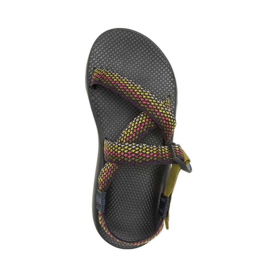 Chaco サンダル メンズ チャコ Ms RAPID PRO ラピッド プロ 12366180 アクアティック フローラ | CHACO | 08