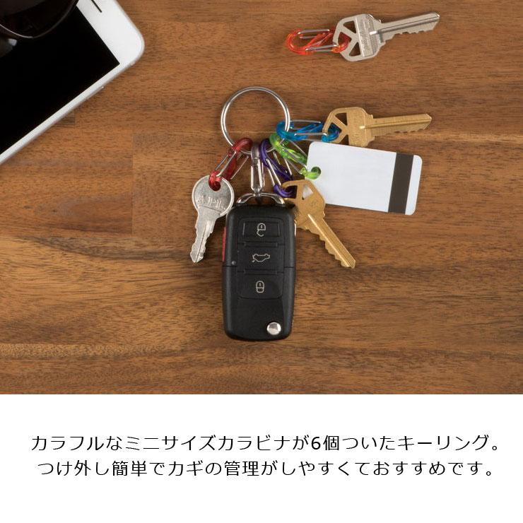 カラビナ キーホルダー NITEIZE ナイトアイズ キーリング プラスチック エスビナー シルバー NI04217 メンズ レディース キーリング | NITE IZE | 02