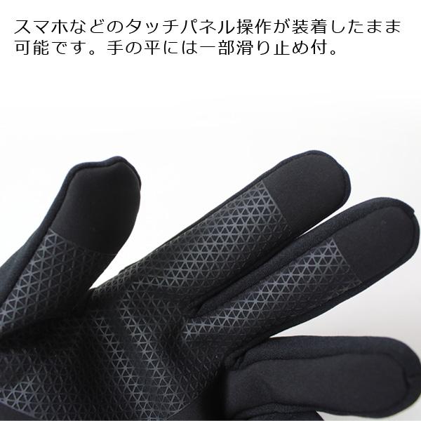 THE NORTH FACE（ザ ノースフェイス） イーチップグローブ NN62344