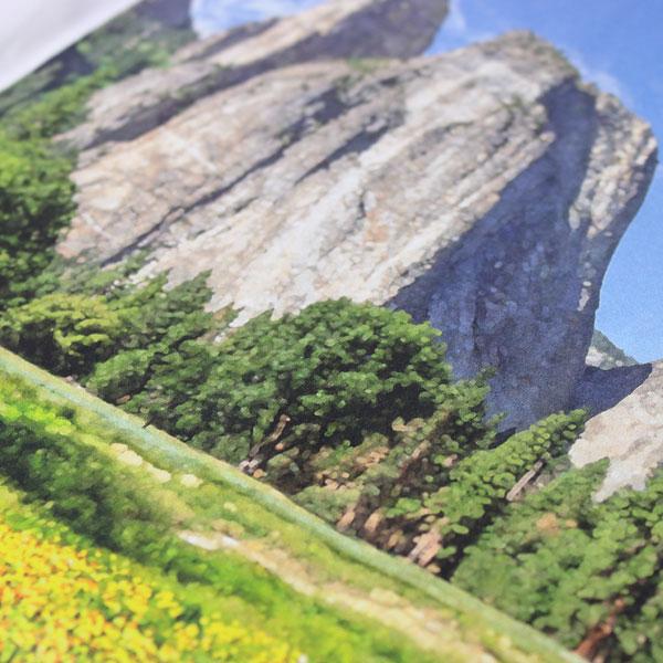 THE NORTH FACE ザ・ノース・フェイス tシャツ メンズ バックプリント ヨセミテ 父の日 プレゼント NT32436 | THE NORTH FACE | 05