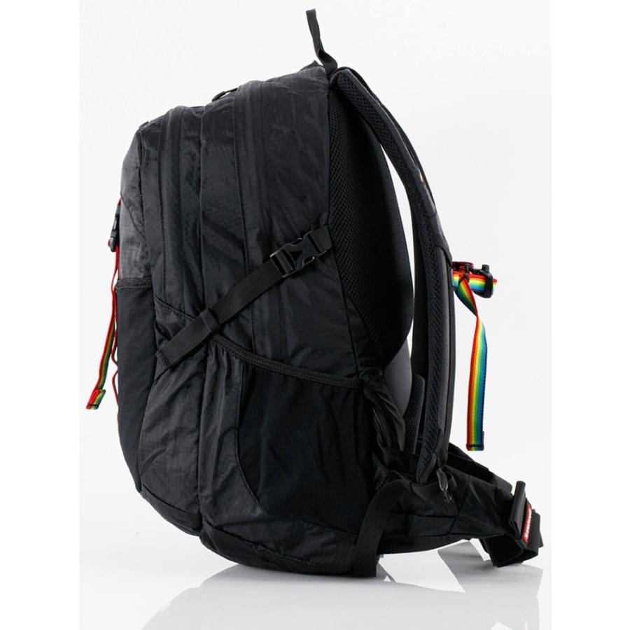 CHUMS チャムス Spring Dale 25 スプリングデール25 CH60-3997 デイパック リュック | CHUMS | 02