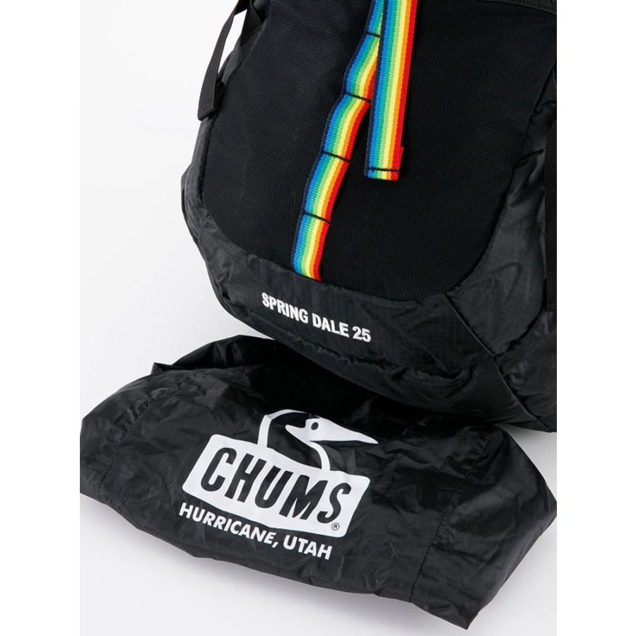 CHUMS チャムス Spring Dale 25 スプリングデール25 CH60-3997 デイパック リュック | CHUMS | 07