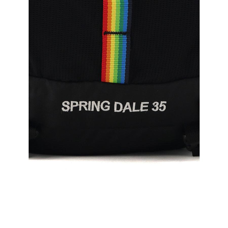 CHUMS チャムス Spring Dale 35 スプリングデール35 CH60-4096 リュック バックパック 35L 登山 ハイキング キャンプ レインカバー付き アウトドア | CHUMS | 11