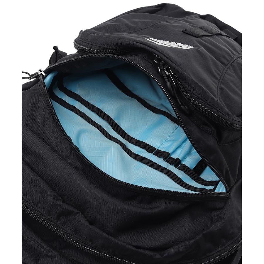 CHUMS チャムス Spring Dale 30 スプリングデール30 CH60-4097 メンズ レディース リュック バックパック 30L レインカバー 登山 旅行 アウトドア | CHUMS | 08