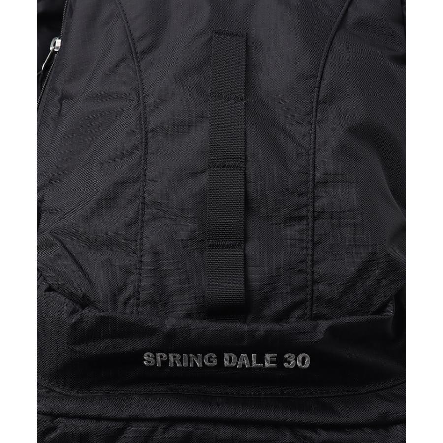 CHUMS チャムス Spring Dale 30 スプリングデール30 CH60-4097 メンズ レディース リュック バックパック 30L レインカバー 登山 旅行 アウトドア | CHUMS | 11