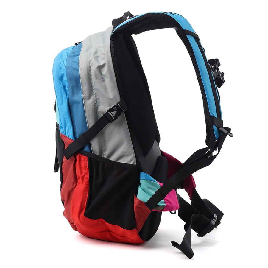CHUMS チャムス Spring Dale 25 スプリングデール25 CH60-4098 メンズ レディース リュック バックパック 25L レインカバー 登山 トレッキング 旅行 アウトドア | CHUMS | 05
