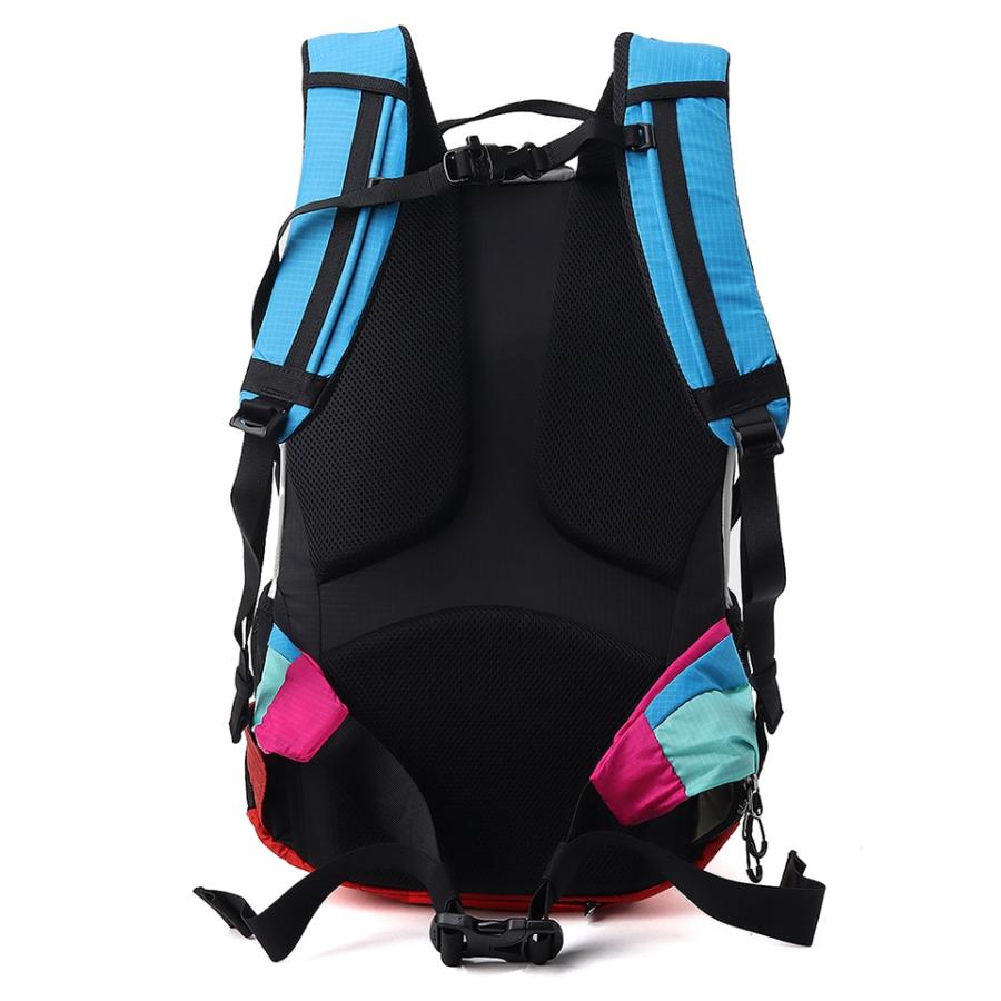 CHUMS チャムス Spring Dale 25 スプリングデール25 CH60-4098 メンズ レディース リュック バックパック 25L レインカバー 登山 トレッキング 旅行 アウトドア | CHUMS | 06
