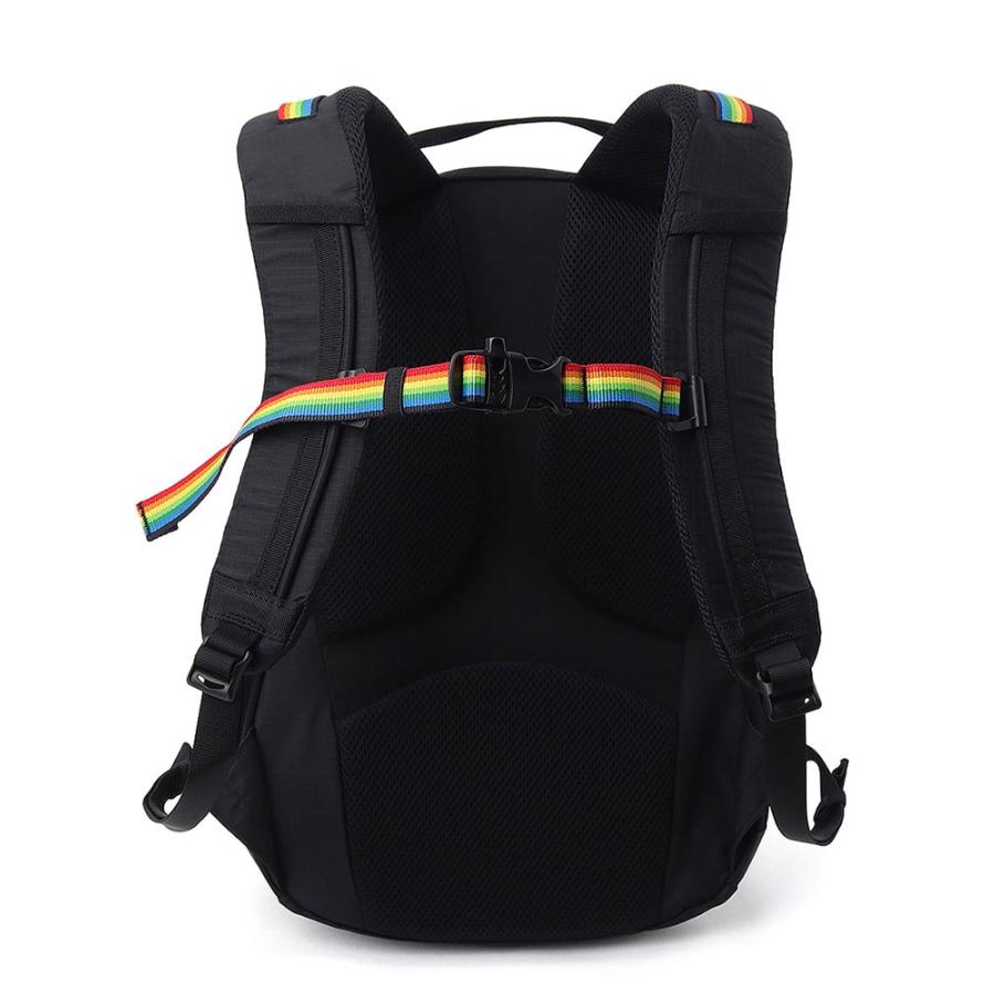 CHUMS チャムス Spring Dale 20 スプリングデール20 CH60-4099 デイパック リュック | CHUMS | 05