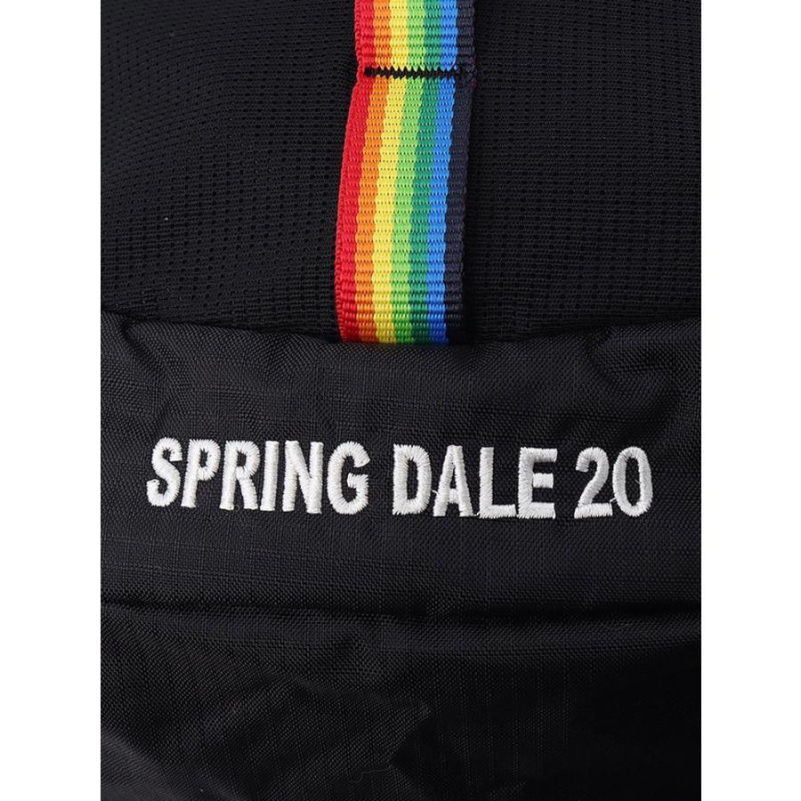 CHUMS チャムス Spring Dale 20 スプリングデール20 CH60-4099 デイパック リュック | CHUMS | 09