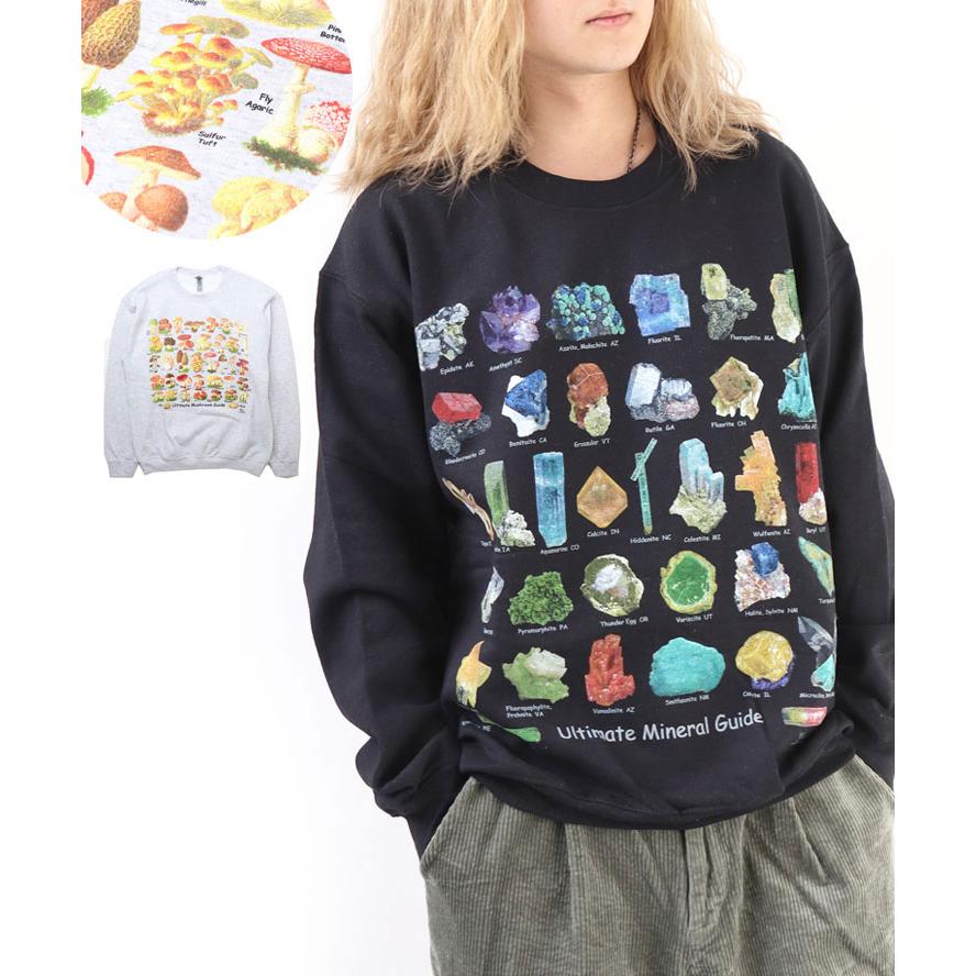 アトラススクリーンプリント クルーネック スウェットシャツ ASP030001 メンズ レディース スウェット トレーナー Mサイズ Lサイズ 秋 冬 秋冬 | protocol