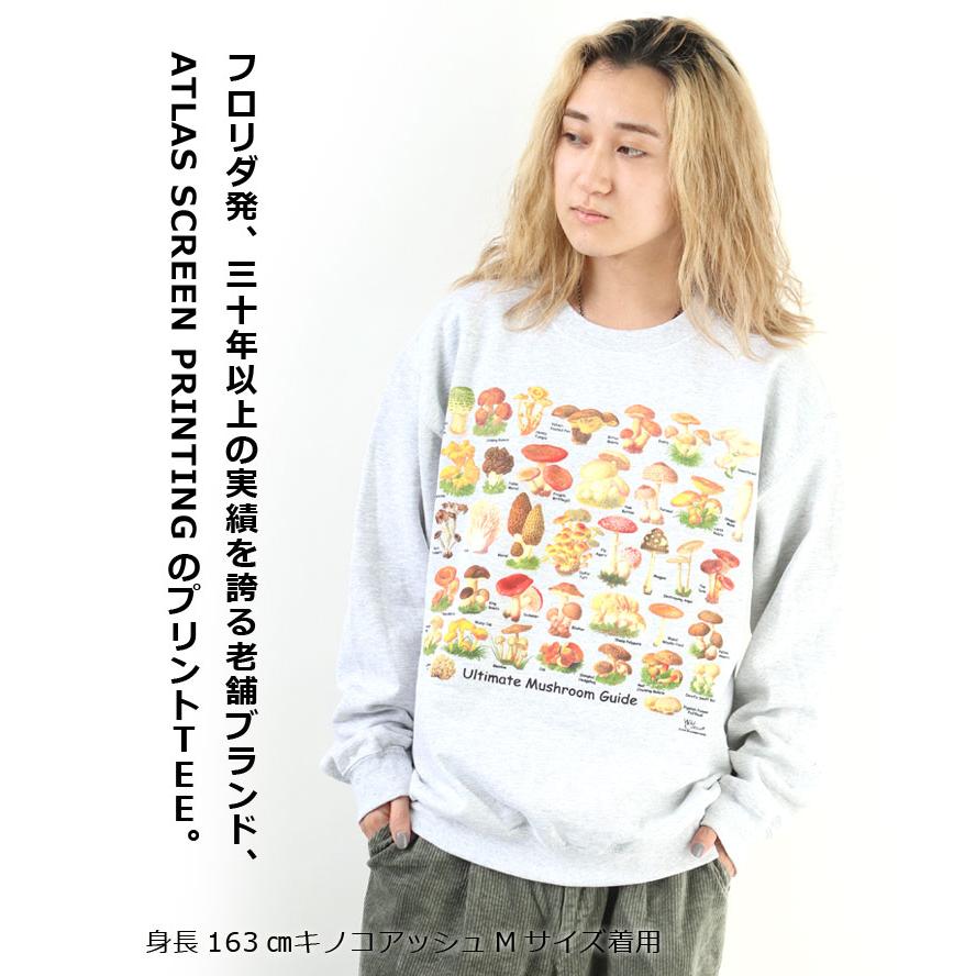 アトラススクリーンプリント クルーネック スウェットシャツ ASP030001 メンズ レディース スウェット トレーナー Mサイズ Lサイズ 秋 冬 秋冬 | protocol | 03