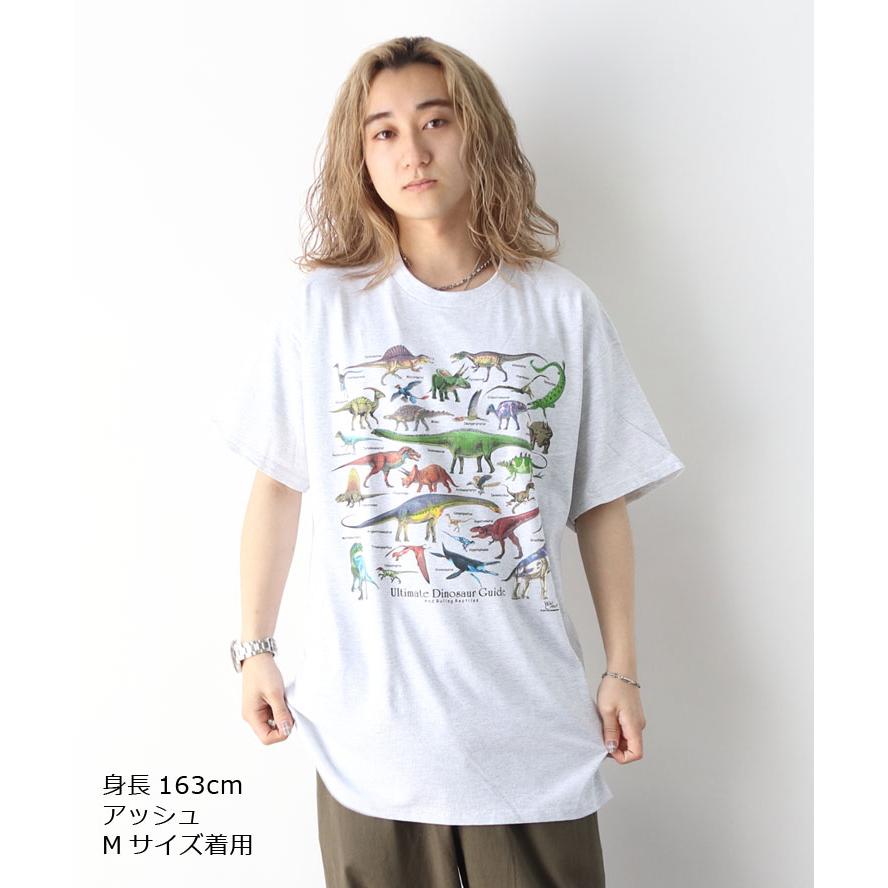 tシャツ 半袖 ATLAS SCREEN PRINTING アトラススクリーンプリント Tee Mサイズ Lサイズ XLサイズ 石 恐竜 自然 |  | 04
