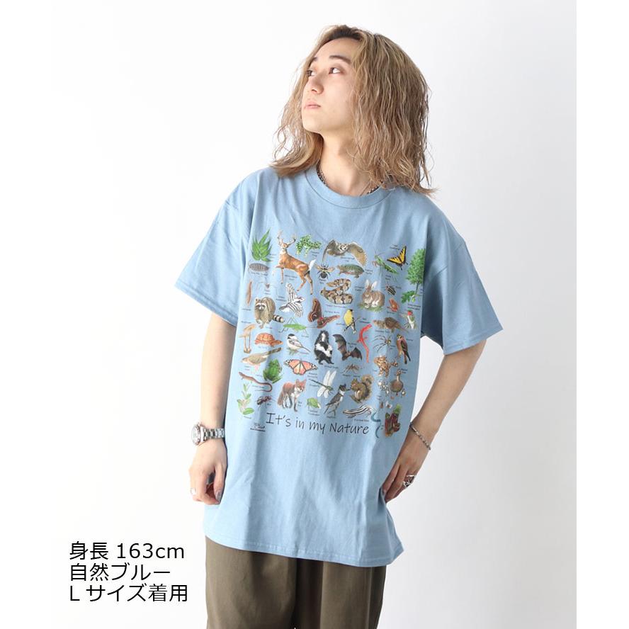 tシャツ 半袖 ATLAS SCREEN PRINTING アトラススクリーンプリント Tee Mサイズ Lサイズ XLサイズ 石 恐竜 自然 |  | 05