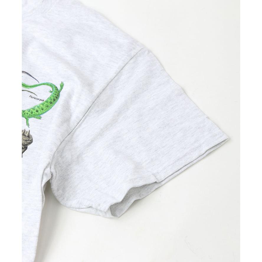 tシャツ 半袖 ATLAS SCREEN PRINTING アトラススクリーンプリント Tee Mサイズ Lサイズ XLサイズ 石 恐竜 自然 |  | 07