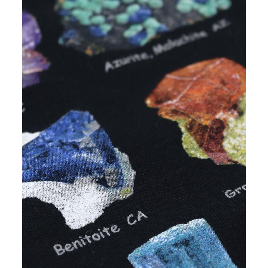 tシャツ 半袖 ATLAS SCREEN PRINTING アトラススクリーンプリント Tee Mサイズ Lサイズ XLサイズ 石 恐竜 自然 |  | 10