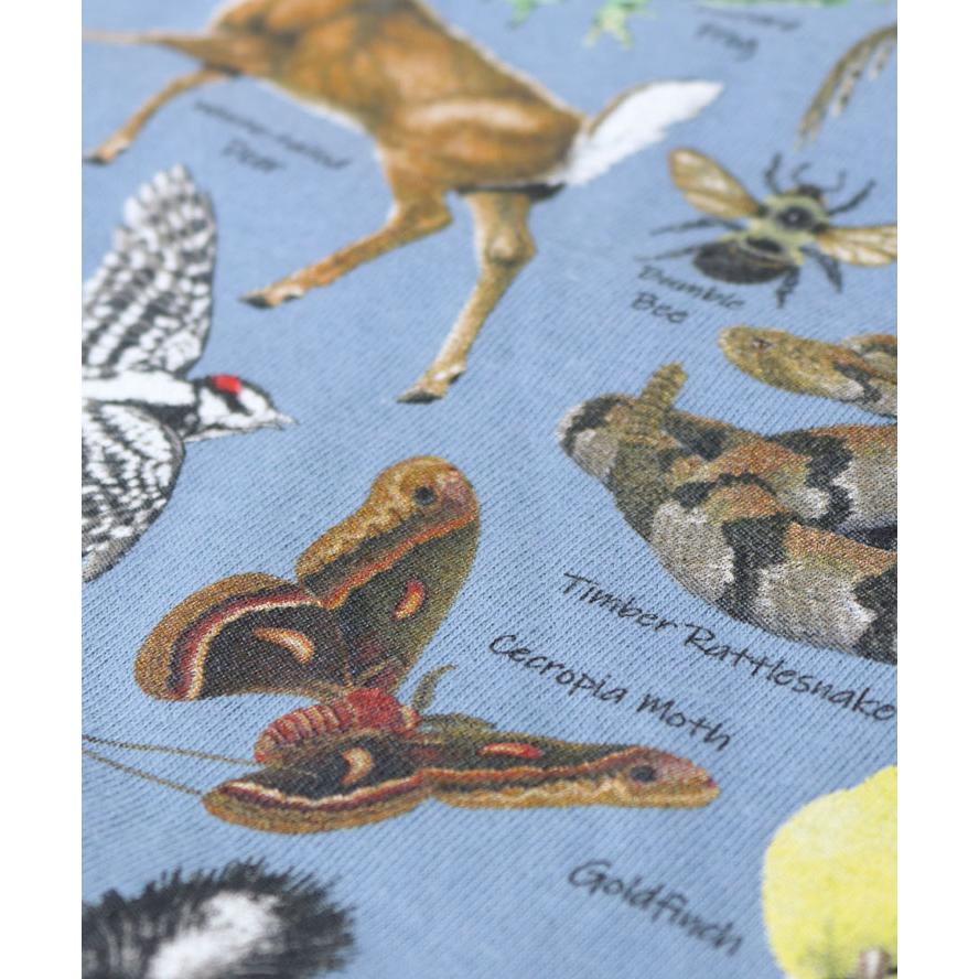 tシャツ 半袖 ATLAS SCREEN PRINTING アトラススクリーンプリント Tee Mサイズ Lサイズ XLサイズ 石 恐竜 自然 |  | 11