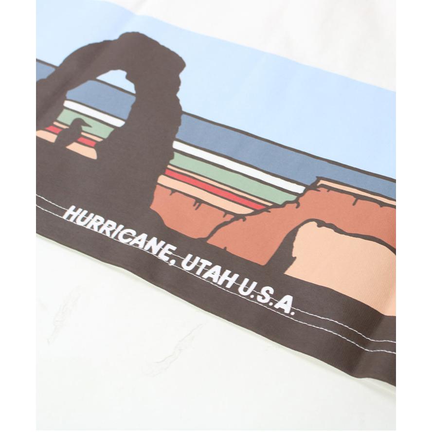 CHUMS チャムス Tシャツ メンズ CHUMS UTAH LANDSCAPES T-SHIRT ユタ ランドスケープス Tシャツ CH01-2520 | CHUMS | 07