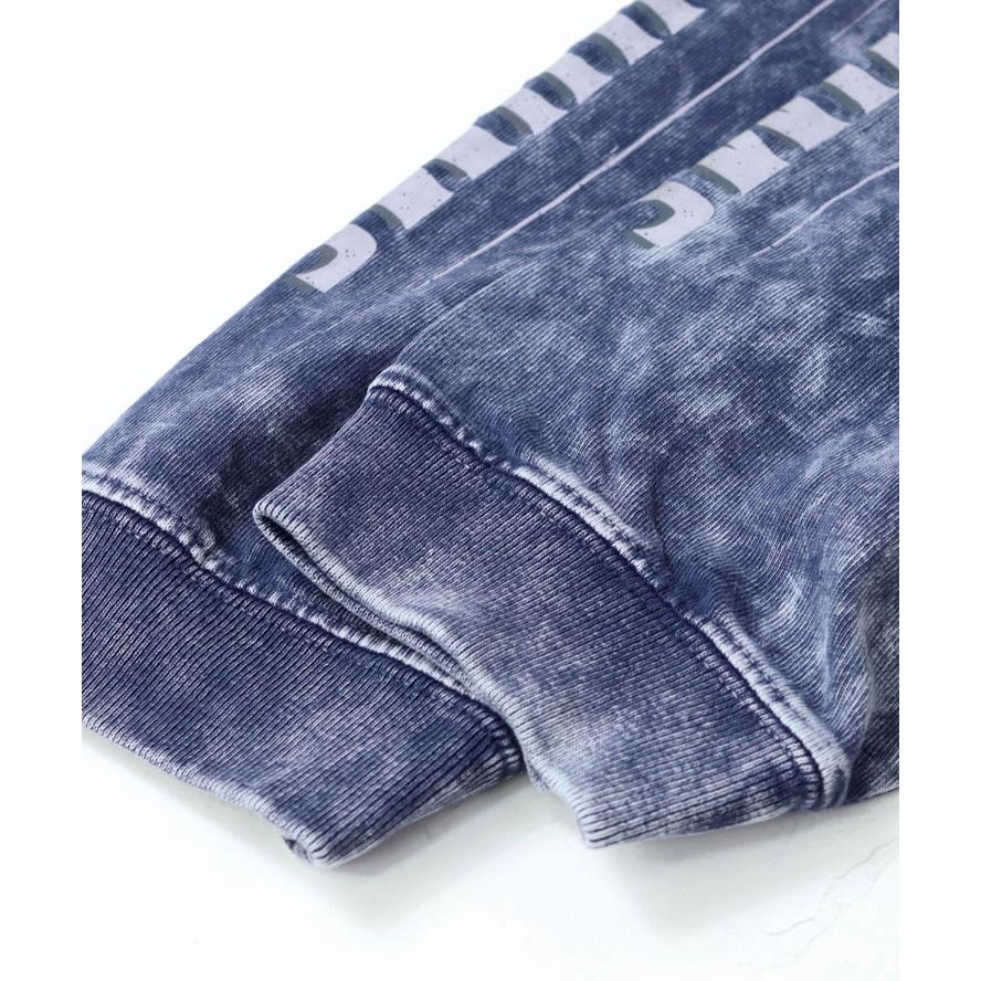 CHUMS チャムス キャニオンランズチャムスツアー83ロングスリーブTシャツ CH01-2655 長袖 tシャツ メンズ レディース ロンT 秋 冬 秋冬 | CHUMS | 09