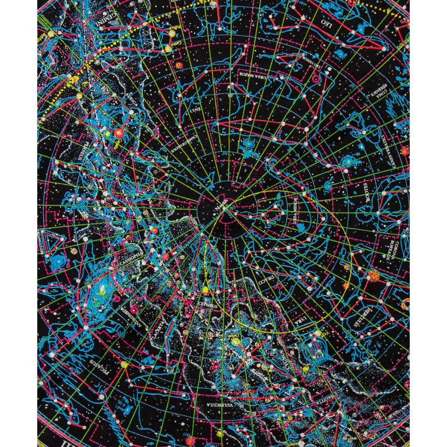 爆買 / Tシャツ メンズ 半袖 VARIOUS PRINTS STELLAR CARTOGRAFE TEE 春夏 プリントTシャツ グラフィックTシャツ コットン カジュアル アウトドア | protocol | 02