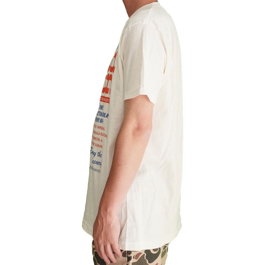VAR PR NATIONAL PARKS GRAND CANYON TEE｜公式ライセンス ヴィンテージ風 コットンTシャツ ナチュラル メンズL 040138 | protocol | 02