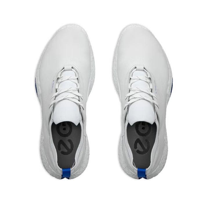 バイオム 【在庫限り】ECCO M GOLF BIOM H5 138014-61109 / エコー
