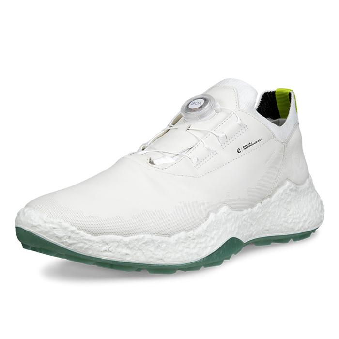 未使用 ecco ゴルフシューズ BIOM G5 42(26cm相当) 【公式通販】