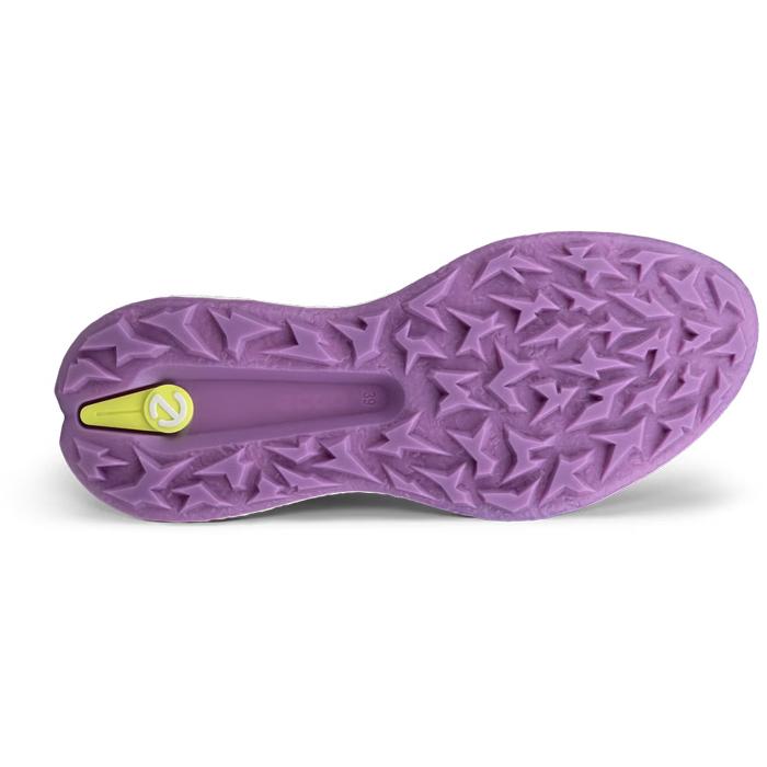 バイオム 【在庫限り】ECCO W GOLF BIOM H5 115003-61058 / エコー