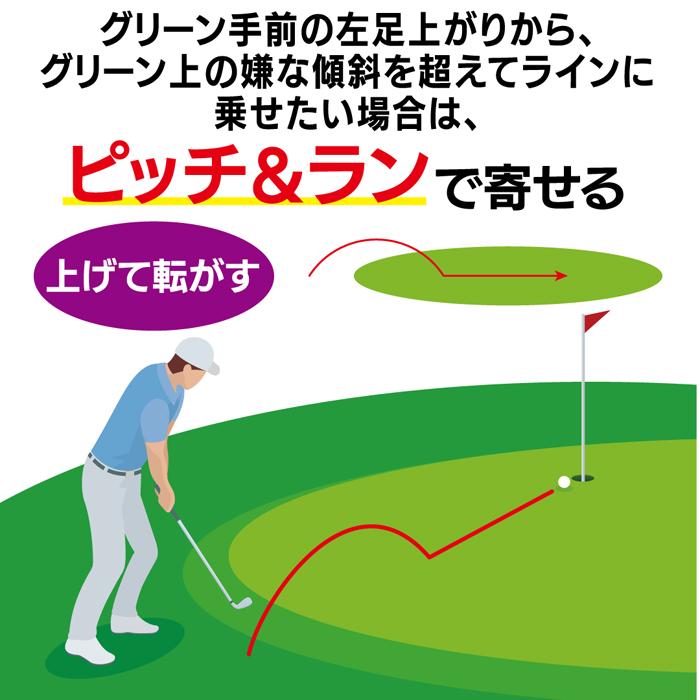 kasco DOLPHIN PITCH ＆ RUN WEDGE DPW-225 / キャスコ ドルフィン ピッチ＆ラン ウェッジ DPW-225(48度) メンズ (スチールシャフト) 2025 ドルフィンウェッジの画像