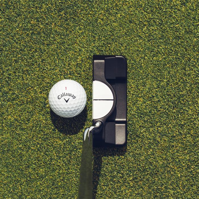 ODYSSEY（キャロウェイゴルフ） ODYSSEY Ai-DUAL 1/2-BALL DW PUTTER