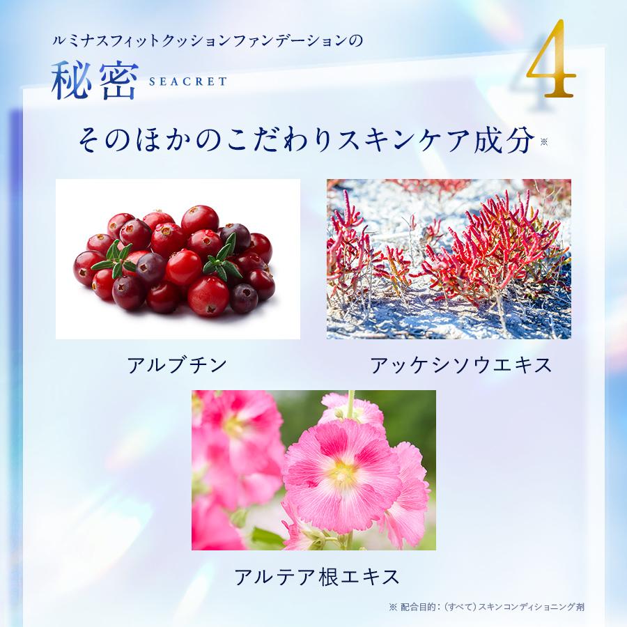 ●1700円クーポン有 公式●ODELIA ルミナスフィットクッションファンデーション 3個セット ベージュ クッションファンデ 下地不要_13